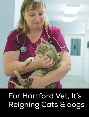 hartford vet.png